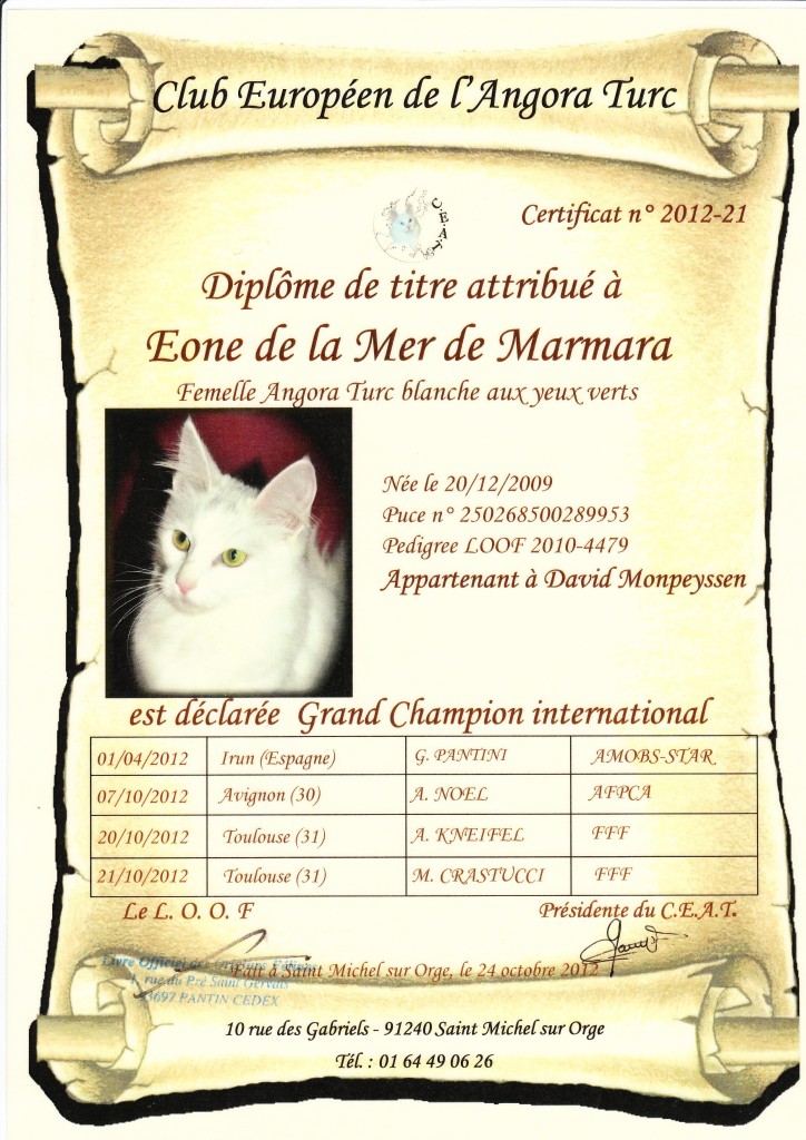 Titre Gr Champ Intern