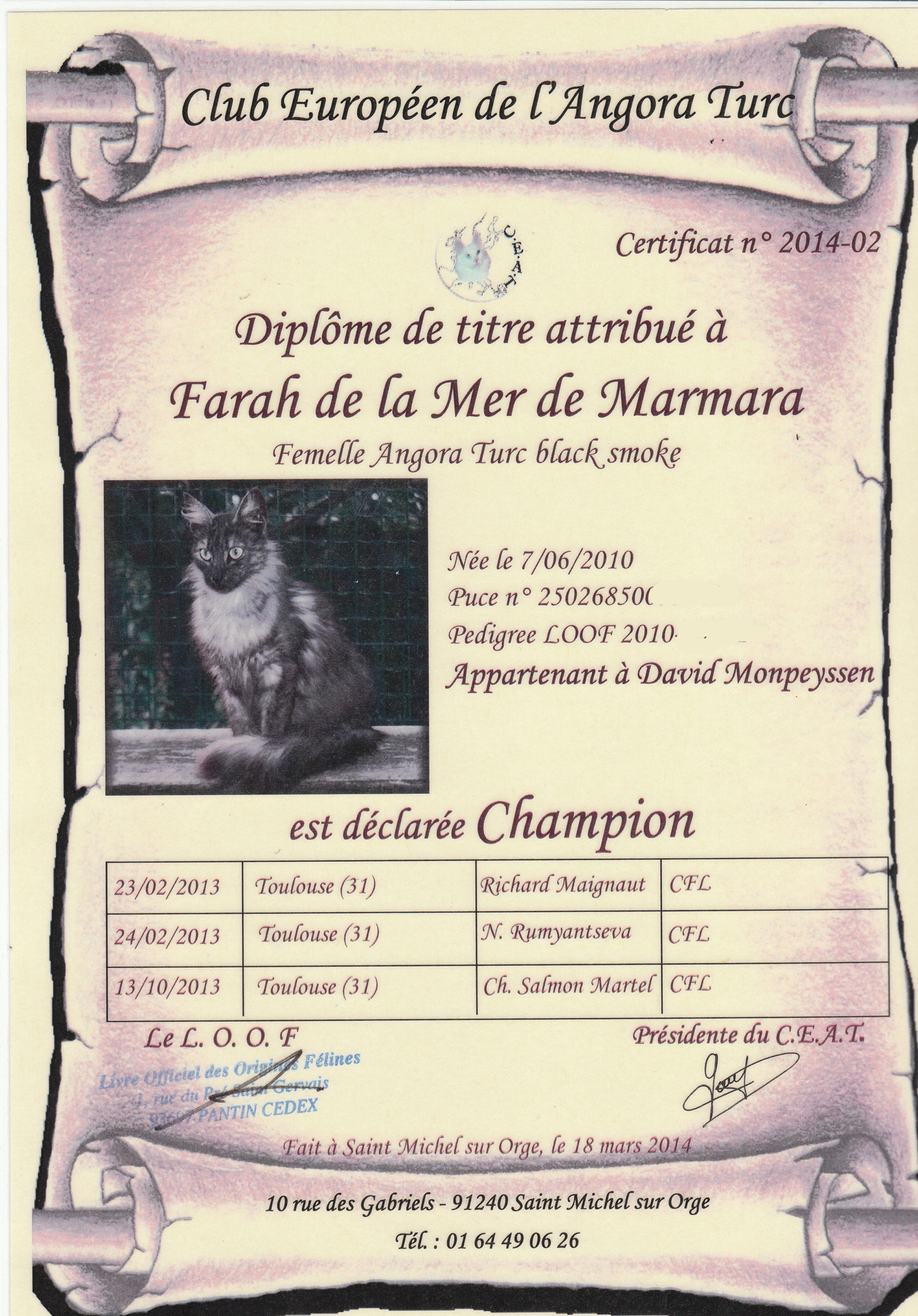 titre champ voilé